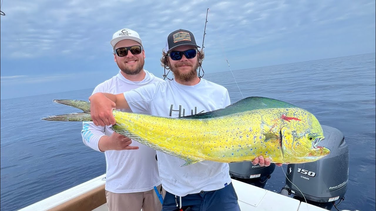 Catching Big Bull Mahi | Offshore Charleston South Carolina