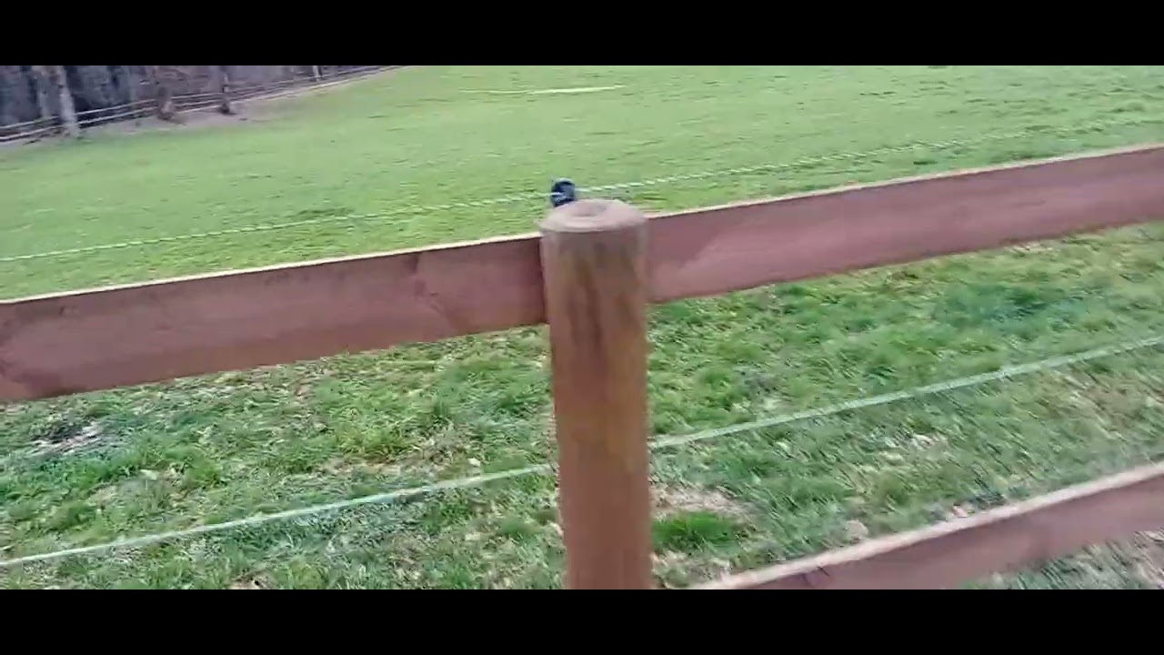 Réflexion sur la 