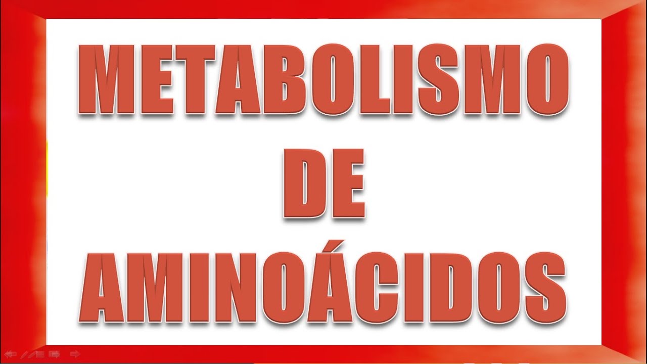 METABOLISMO DE AMINOÁCIDOS