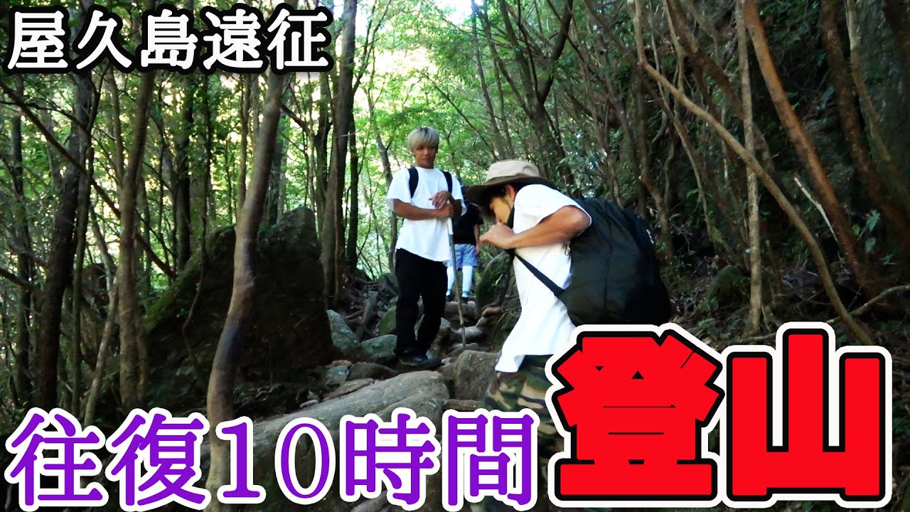 往復10時間！？超巨大な縄文杉までの登山が過酷すぎた…