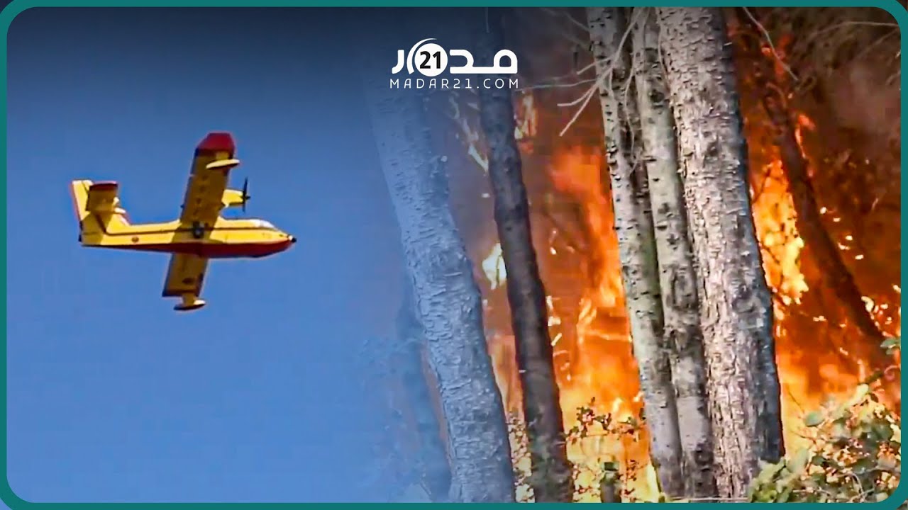 جهود متواصلة.. هكذا تحاول طائرات كنادير المغربية إخماد الحريق بغابة سانية بطنجة