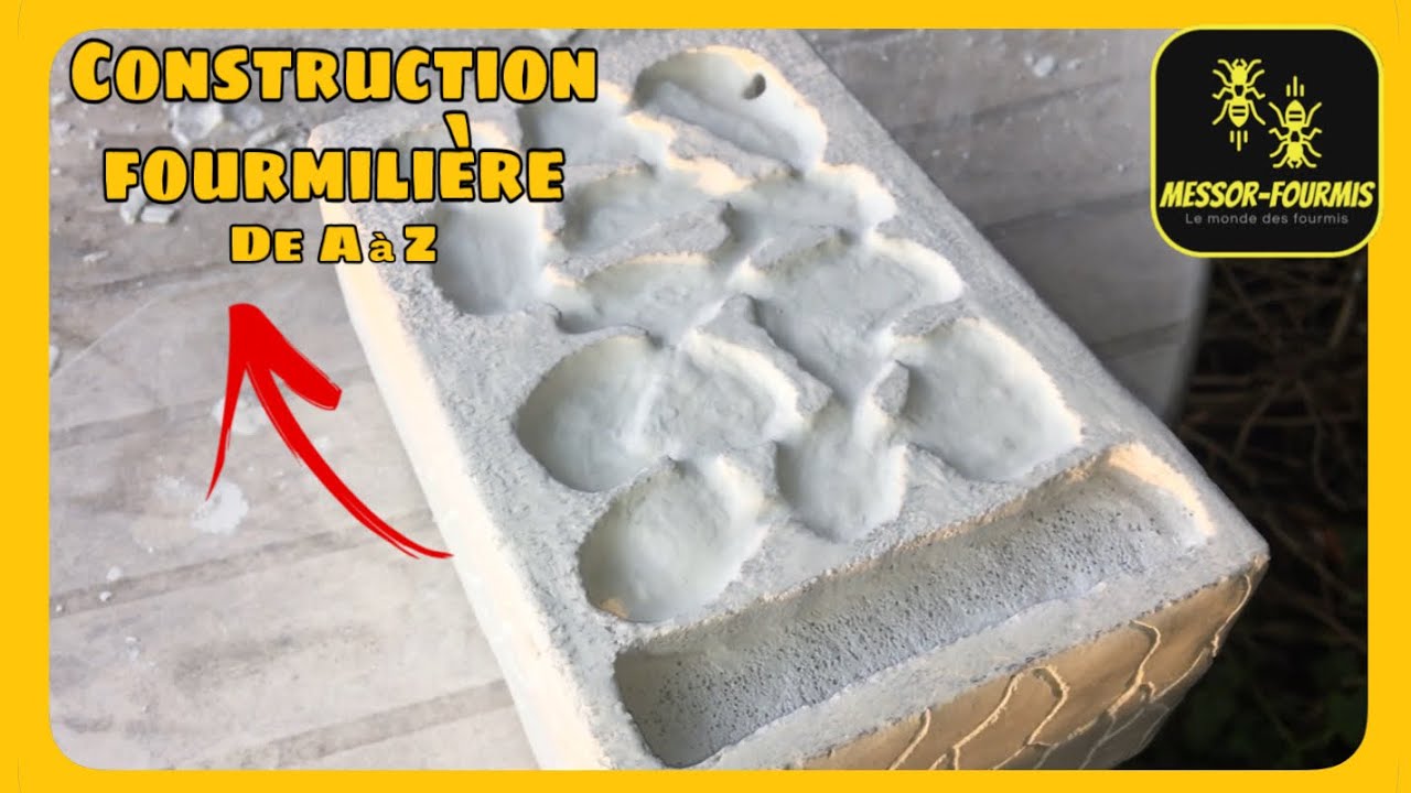 Construction d’une fourmilière de A à Z