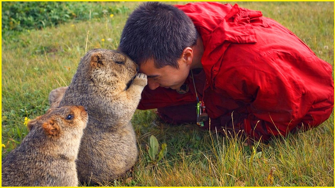 When Animals and Humans Share the Cutest Moments Ever 😍| New viral videos in 2026!
