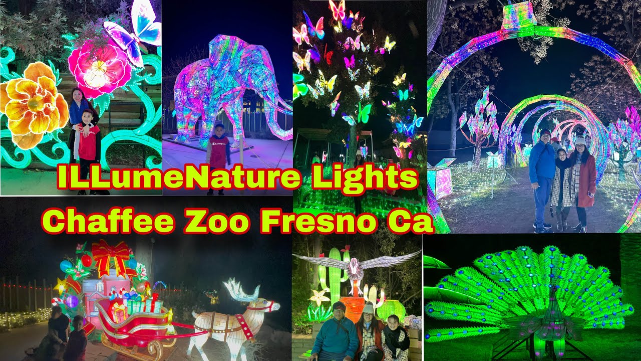 Illuminature Chaffee Zoo Fresno California / Chaffee Zoo Light Fresno
