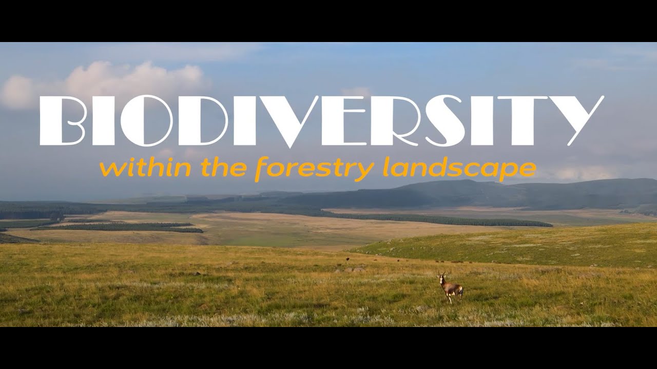 Forestry South Africa - Conserving biodiversity, we all have a role
