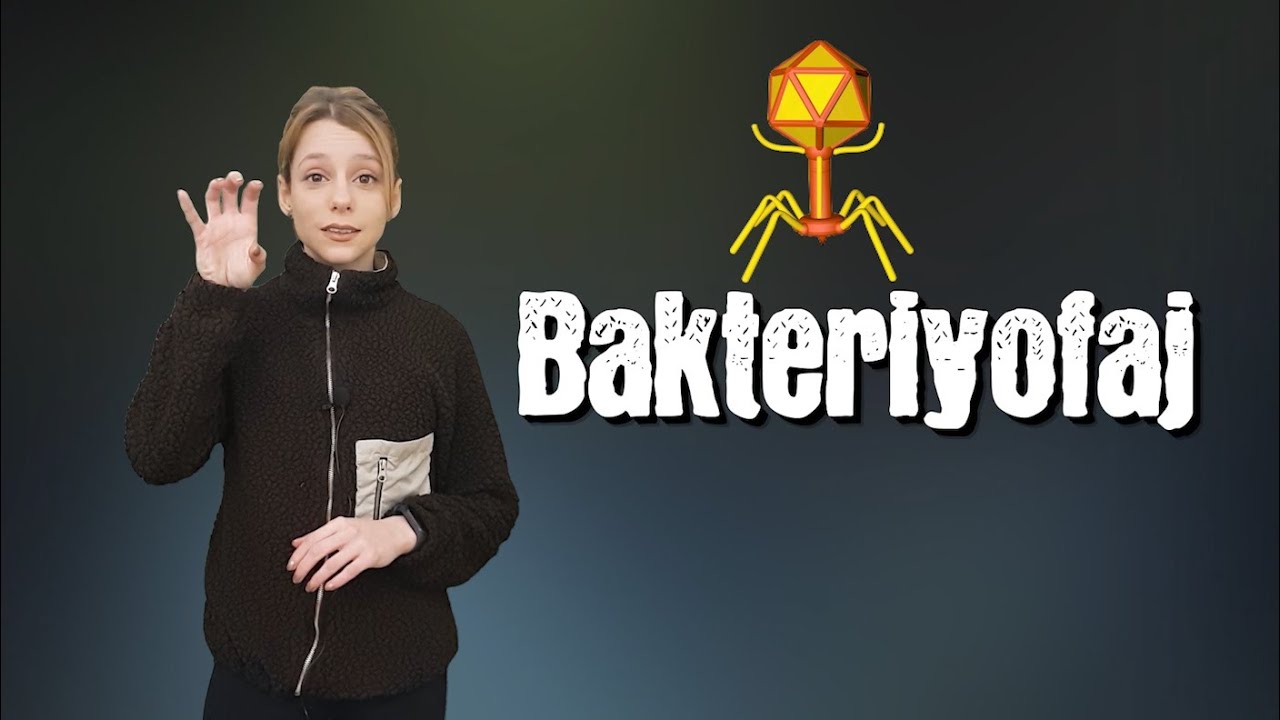 Bakteriyofaj Nedir?