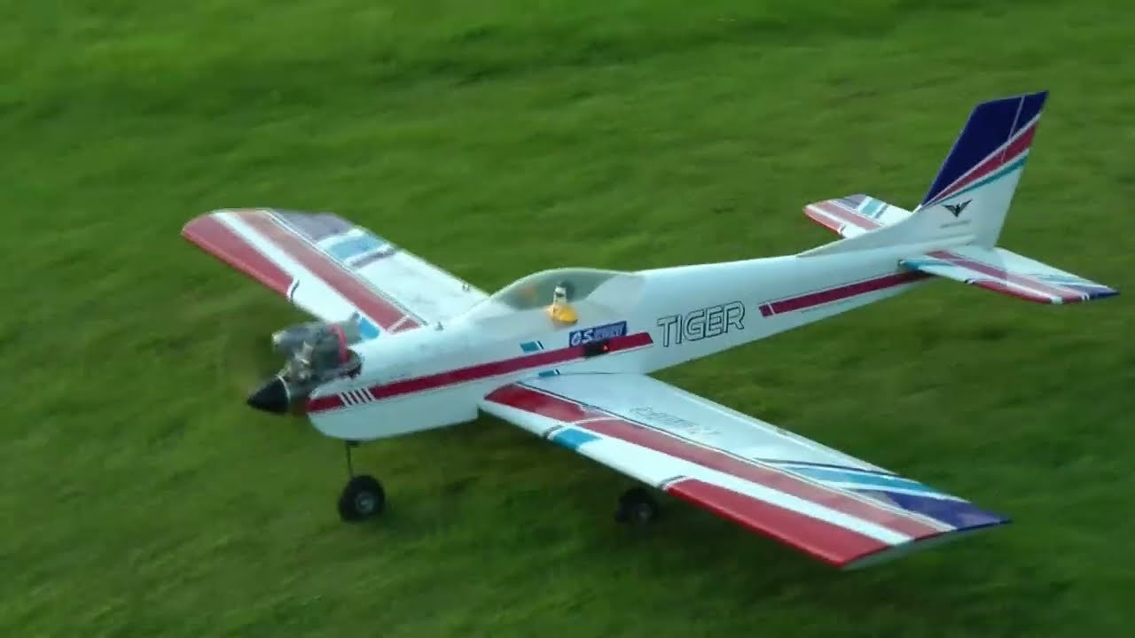 Phoenix Models Tiger Sports 40.  August 2025