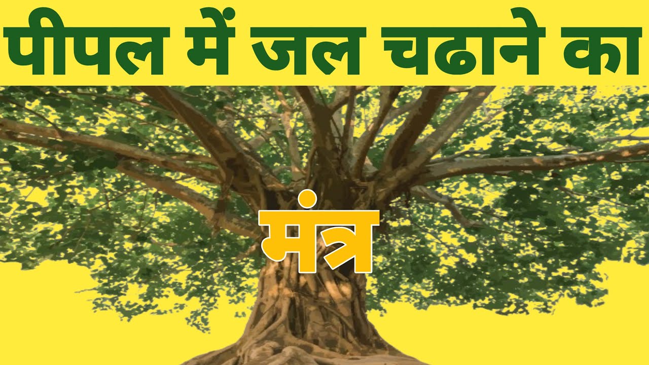Pipal mein jal chadhane ka mantra | पीपल में जल चढ़ाने का मंत्र