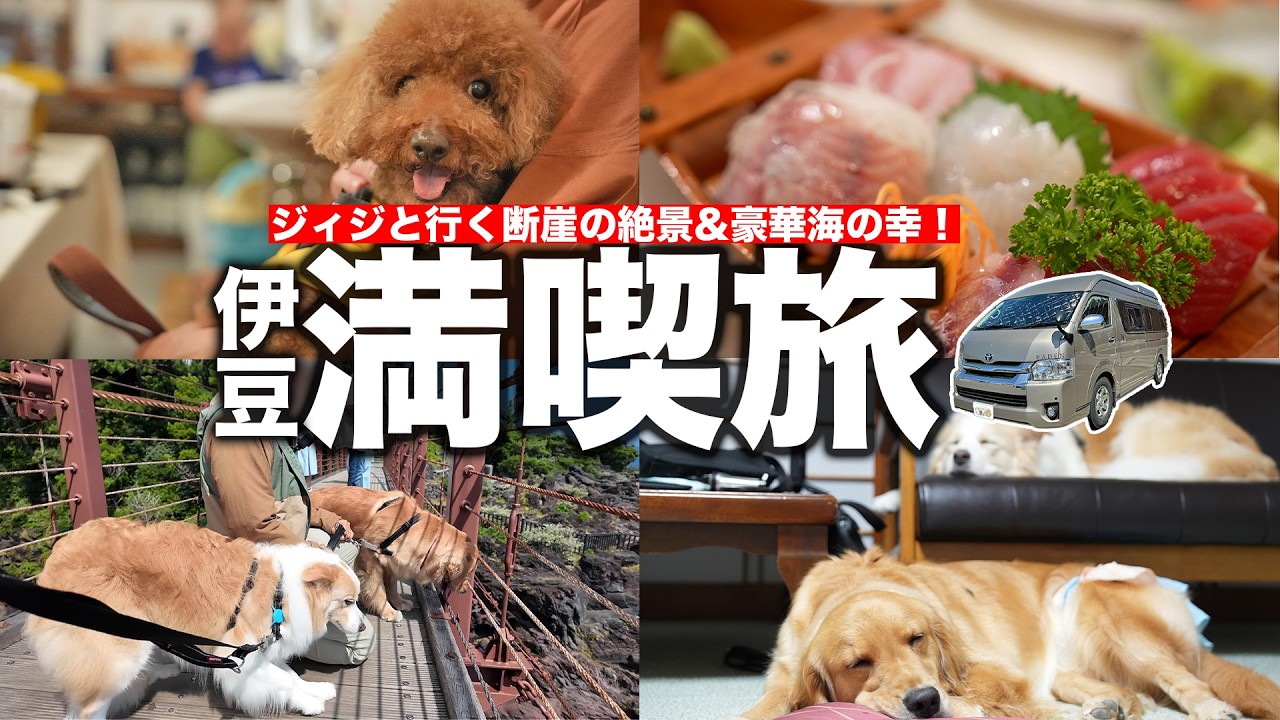 こんなところあったのか…ジィジと行く伊豆の秘境巡り！暴飲暴食飯テロもあるよ！【ハイエースキャンピングカー】
