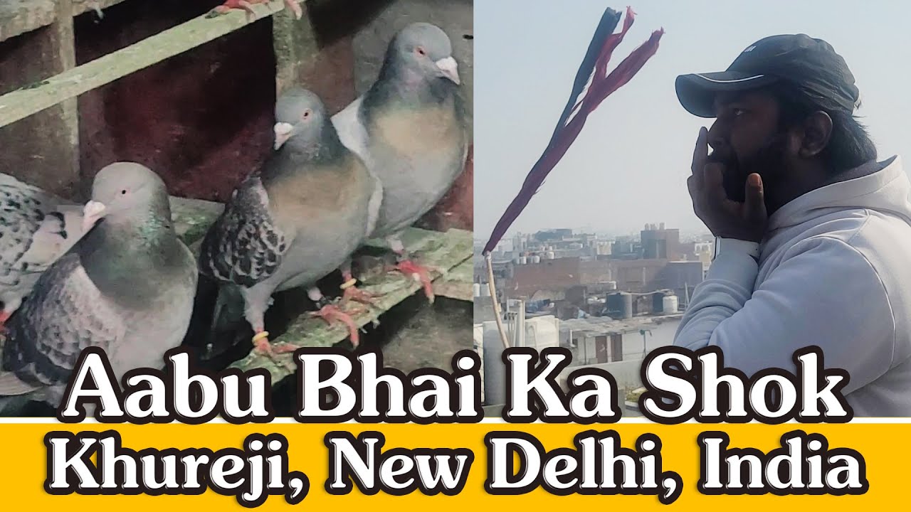 Aabu Bhai Ka Shok, Khureji, New Delhi