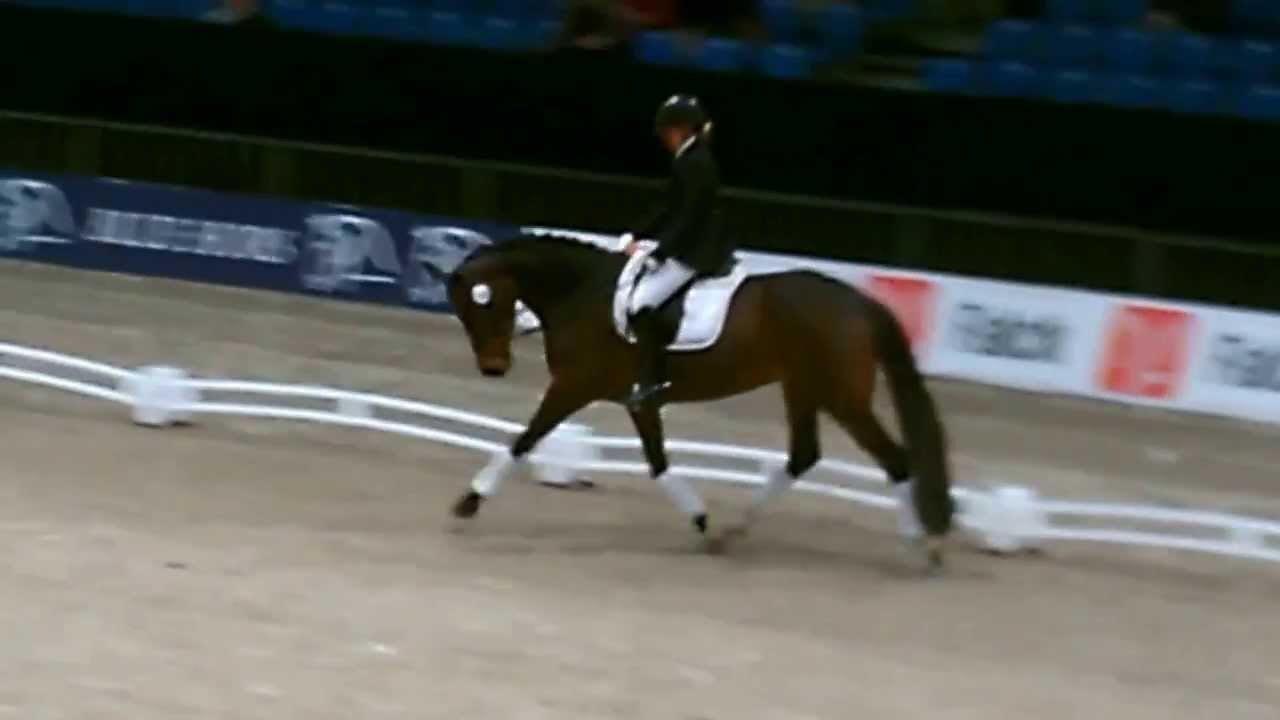Vanja H&oslash;jris MCH 2014