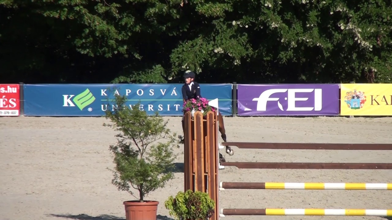 Hammarstr&ouml;m Ingemar and Ocean Des As European championships final
