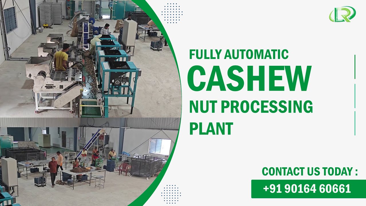 Ultra Modern Fully Automatic Turnkey Cashew Processing Plant by Rami International 📞+91 90164 60661