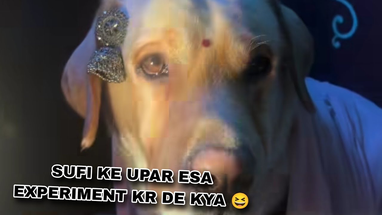 Es Pr Experiment Kr Du Kya 😆🤣 ll @Durgajit_vloger3.18 #trendingvideo #vlog 