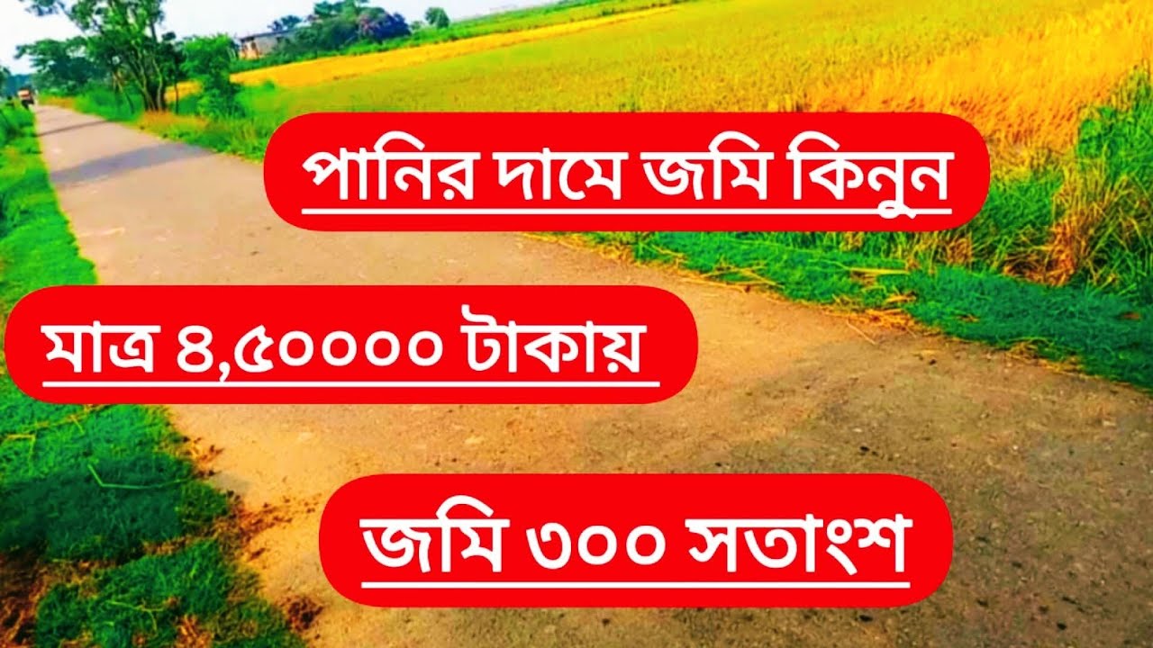 পাকা রাস্তার সাথে বাসা বাড়ি প্রজেক্ট পিশারি ফার্ম করার জন্য জায়গা বিক্রয় হবে Land Sales agriculture