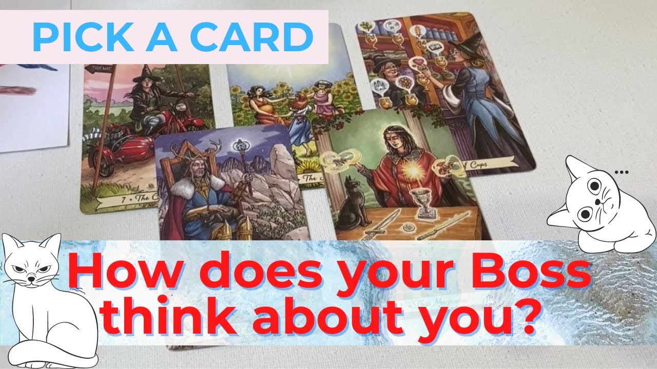 What does your Boss think of you? 🤩🥸🔮Career Tarot Pick A Card Reading Timeless
