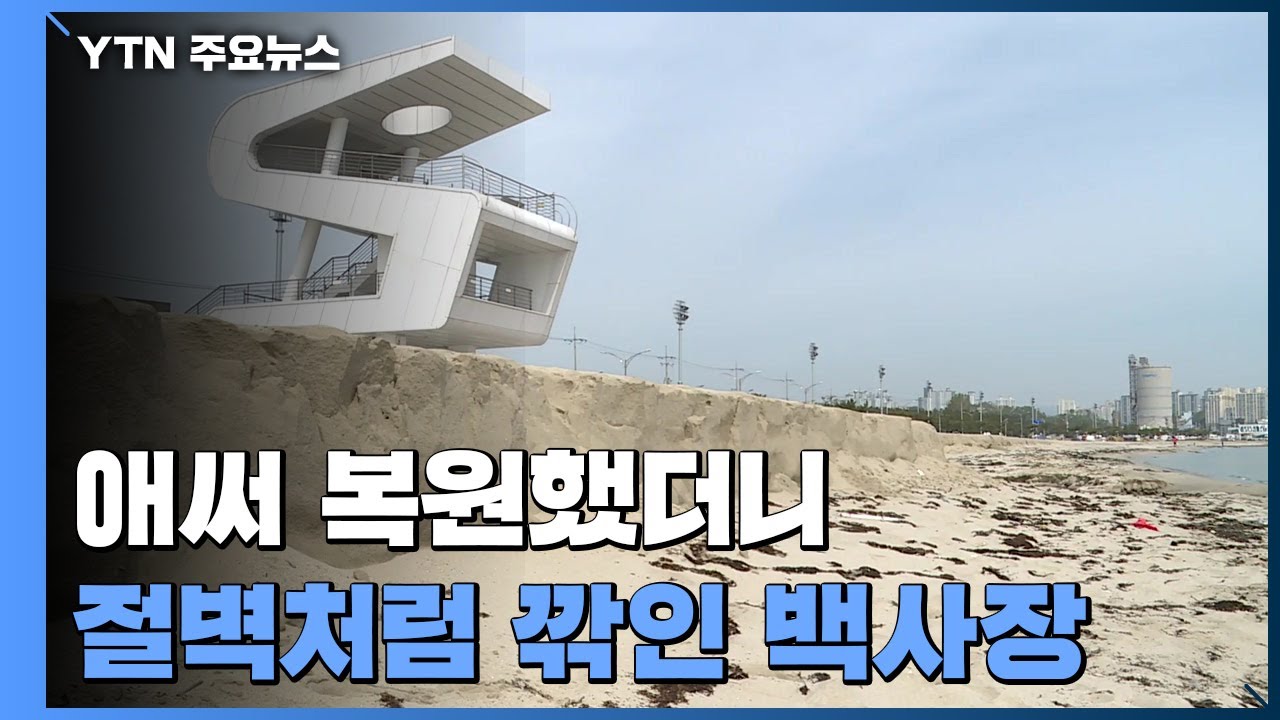 애써 복원했는데...절벽처럼 깎인 백사장 / YTN