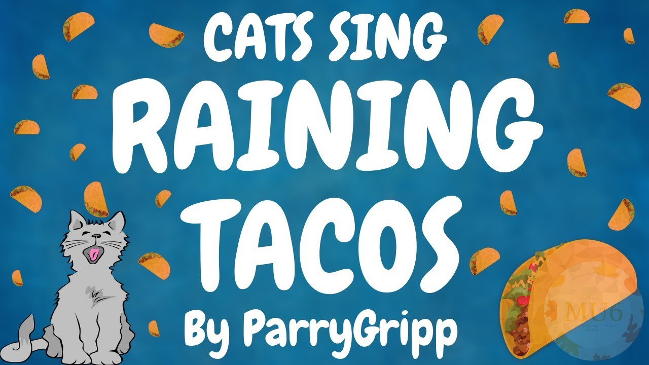 Cats Sing Raining Tacos by Parry Gripp & BooneBum | Cats Singing Song
