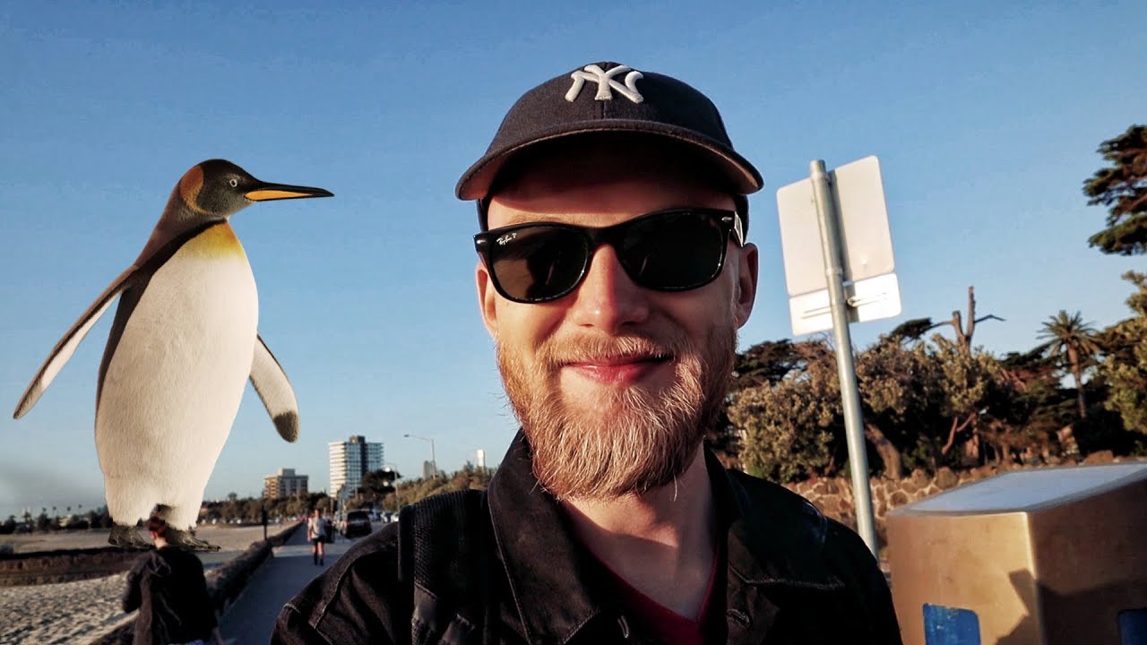 SPOTKAŁEM DZIKIE PINGWINY W AUSTRALII 🐧