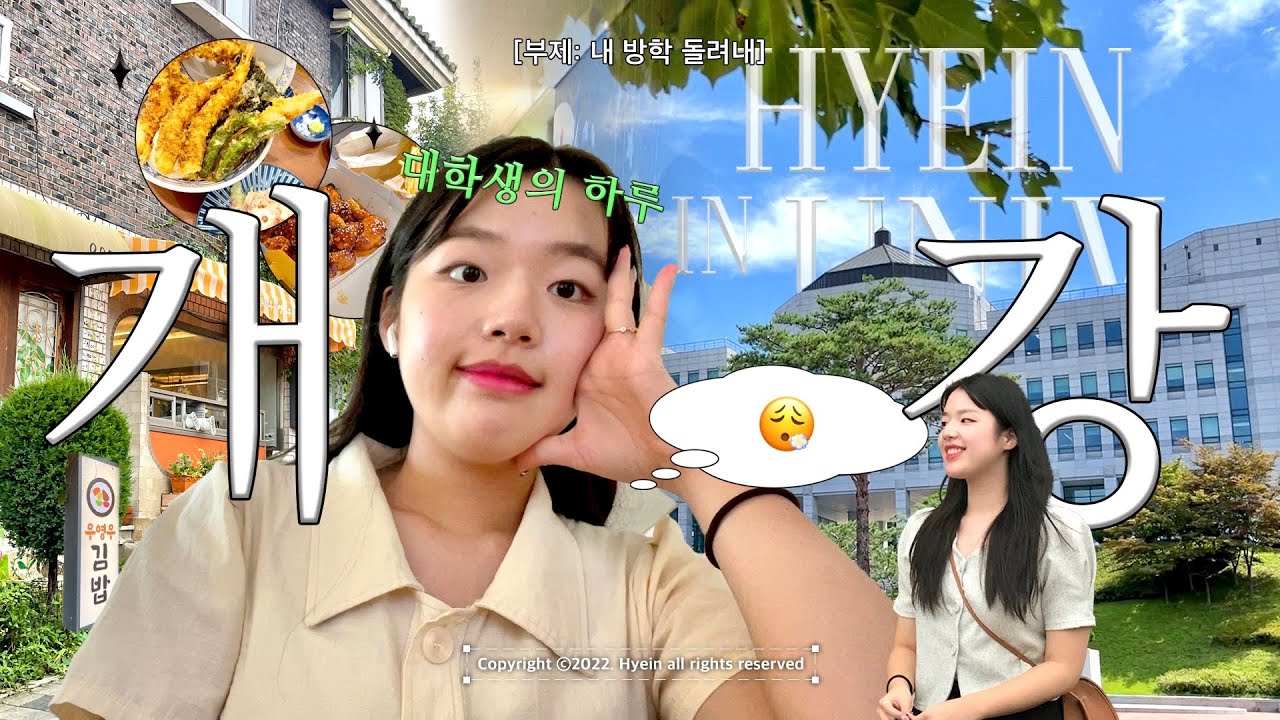 VLOG o 2학년의 본격! 학교 생활 프로젝트 😵‍💫🛸 단대생의 개강 브이로그 | 단국대학교, 대면 수업, 학교 생활, 오티, 과실, 우영우 김밥, 행궁동