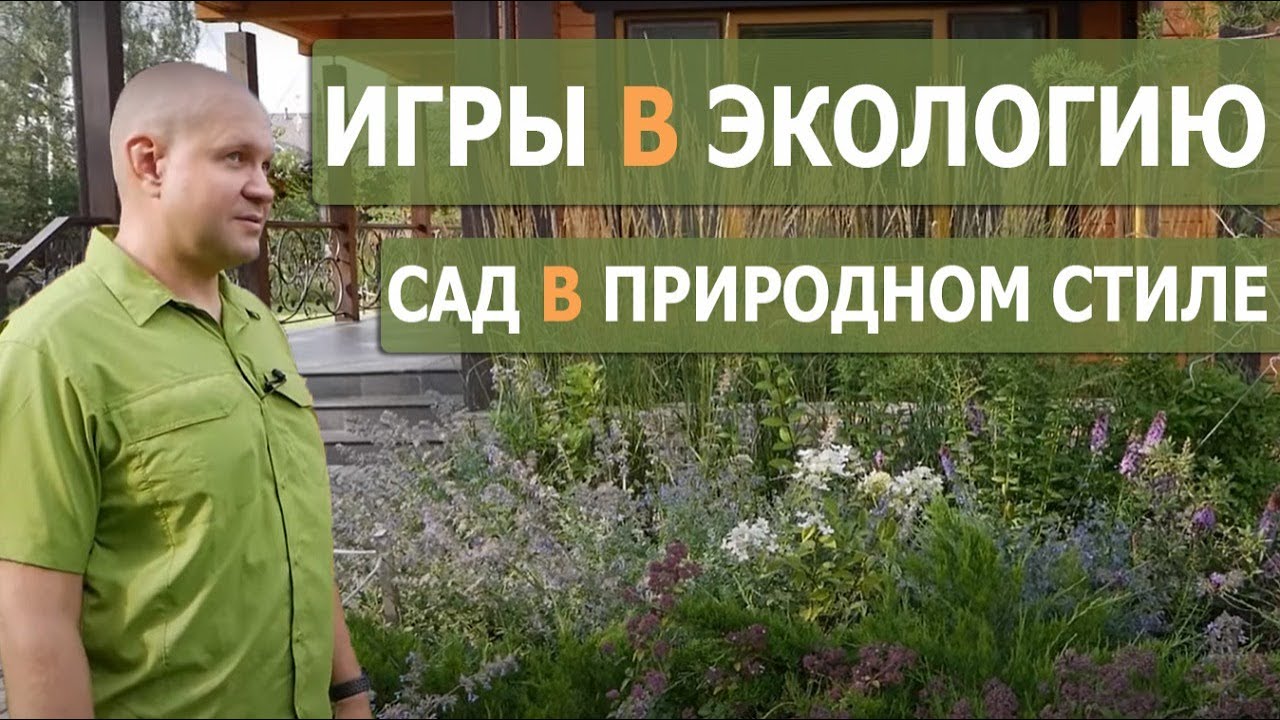 Сообщества растений, газон для выгула собак и пышный сад без роз в Ленобласти