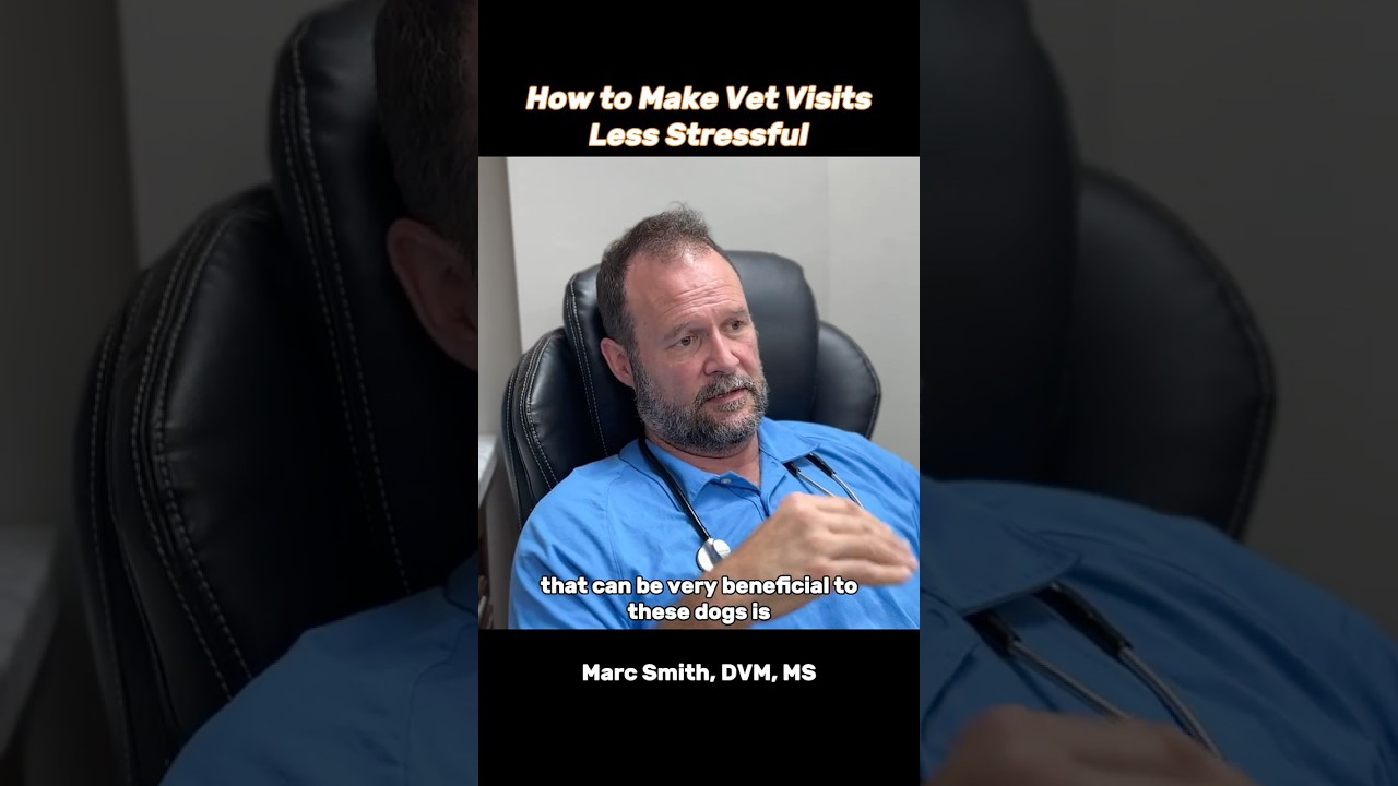 How to Make Vet Visits Less Stressful | Marc Smith, DVM, MS