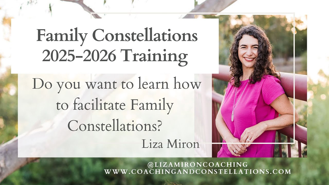 Family Constellation 2025-2026 Training Information Session