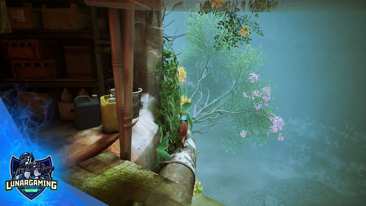 Stray All 3 Flower Locations Antvillage (Plant Badge)