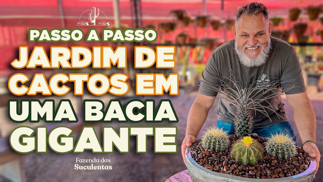 JARDIM de CACTOS em uma BACIA GIGANTE | Passo a passo