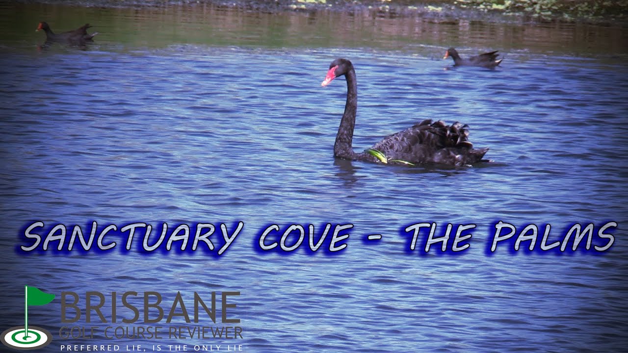 SANCTUARY COVE - THE PALMS PART 1