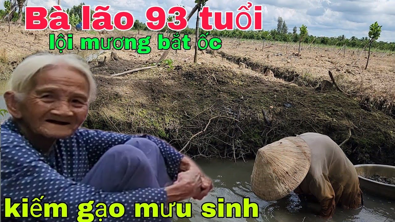Bà lão 93 tuổi lội mương bắt ốc kiếm gạo mưu sinh