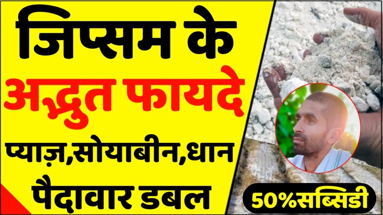 जिप्सम के फायदे जानकार हैरान हो जाएंगे|Gypsum Ke Fayde|Gypsum Fertilizer|Gypsum Use In Agriculture