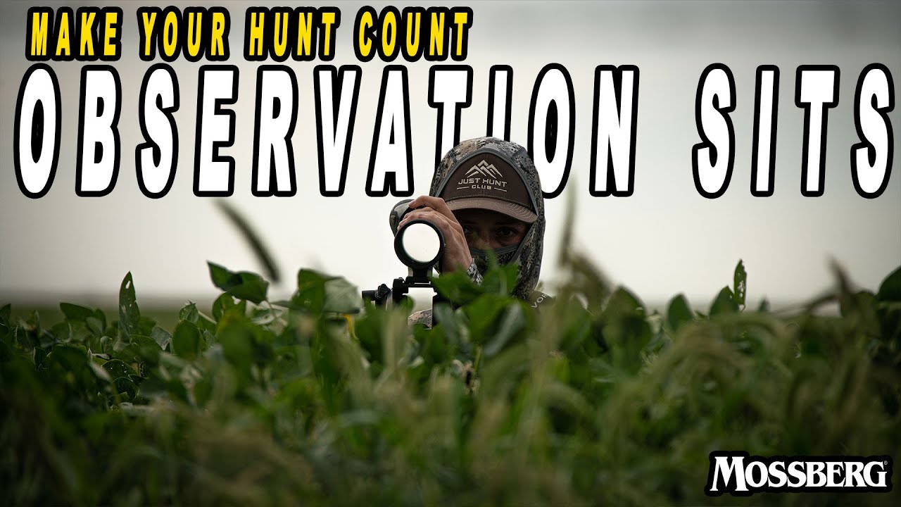 Don&rsquo;t Rush the Hunt! Why Observation Sits Work in Early Season Deer Hunting