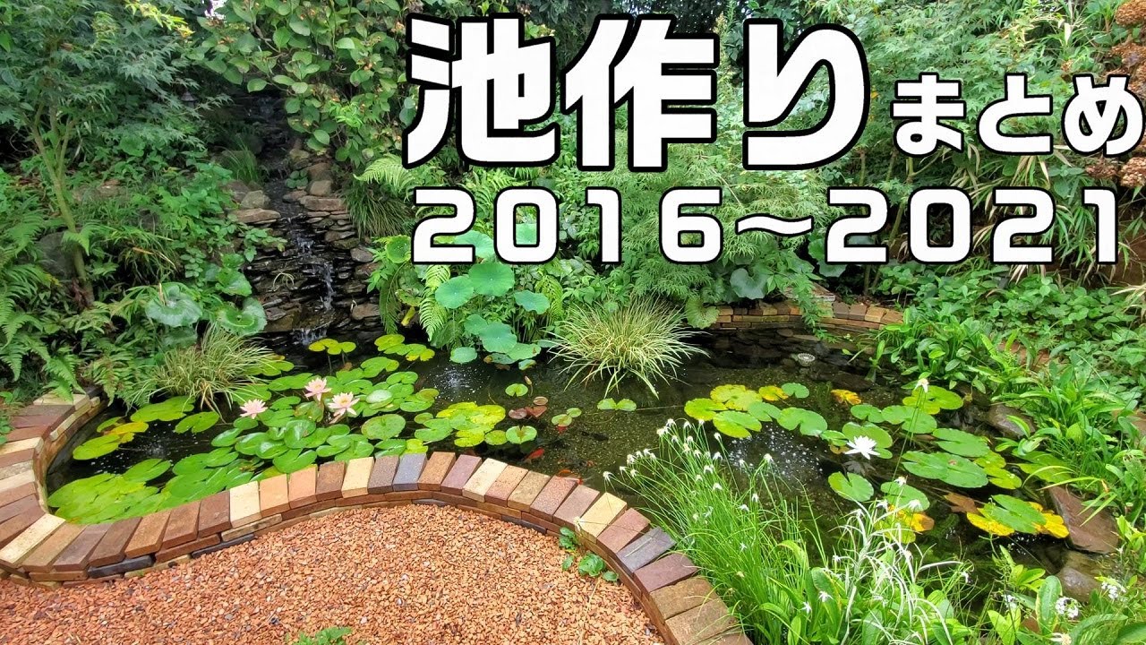 庭池づくりの５年間　２０１６～２０２１
