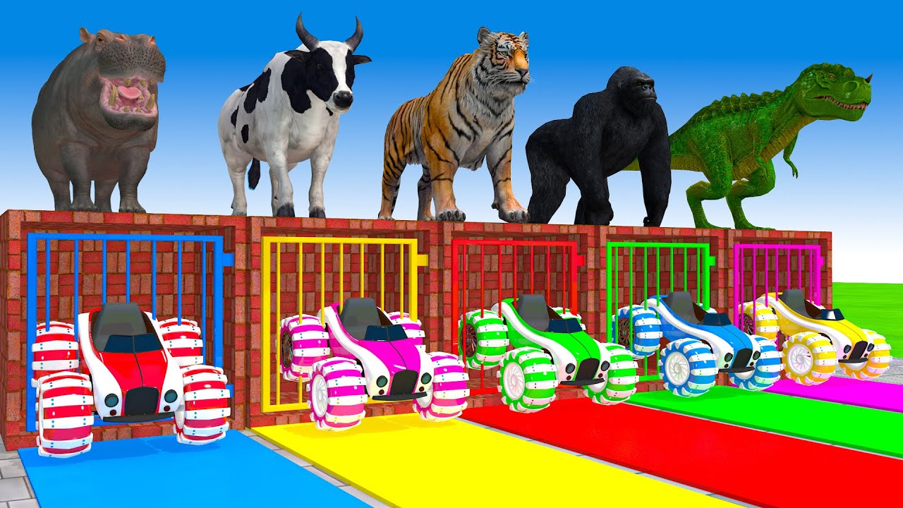 Long Slide Game With Cow Elephant Gorilla Hippopotamus Tiger 3d Animal Game Funny 3d Animals