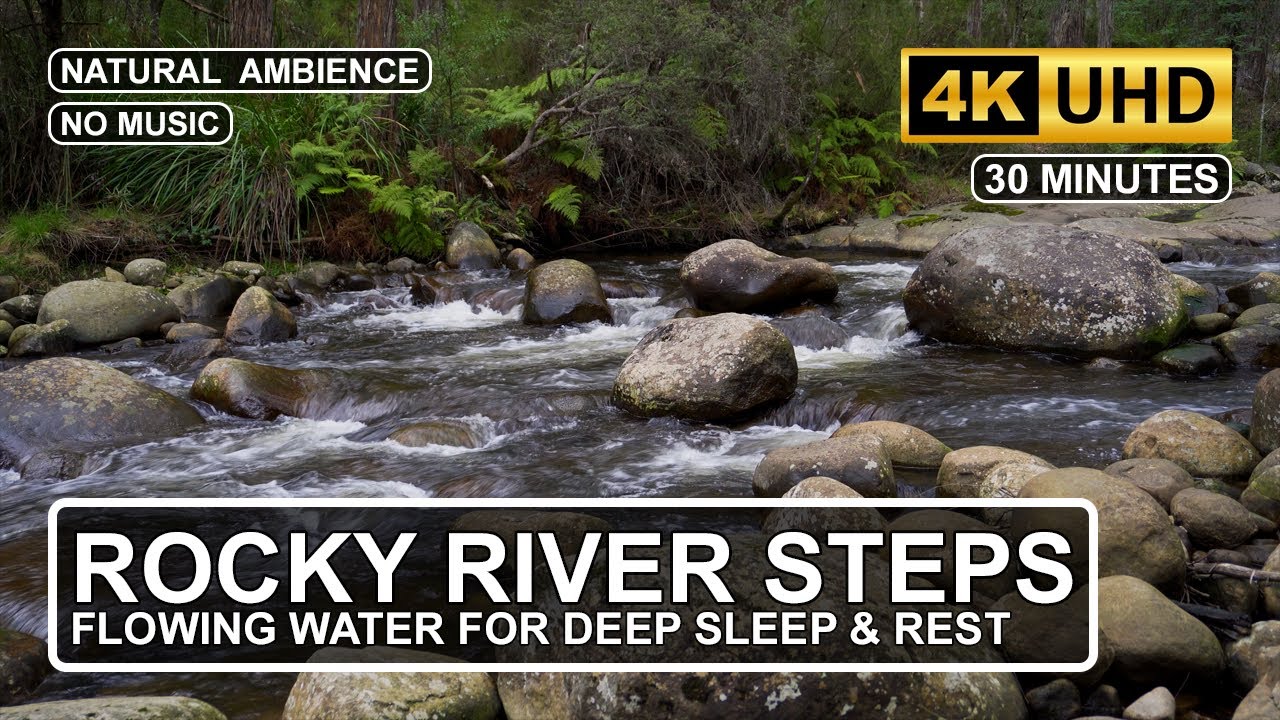 30 Minutes Soothing Mountain River Steps  | Relaxing Forest ASMR of Flowing Water for Focus & Sleep