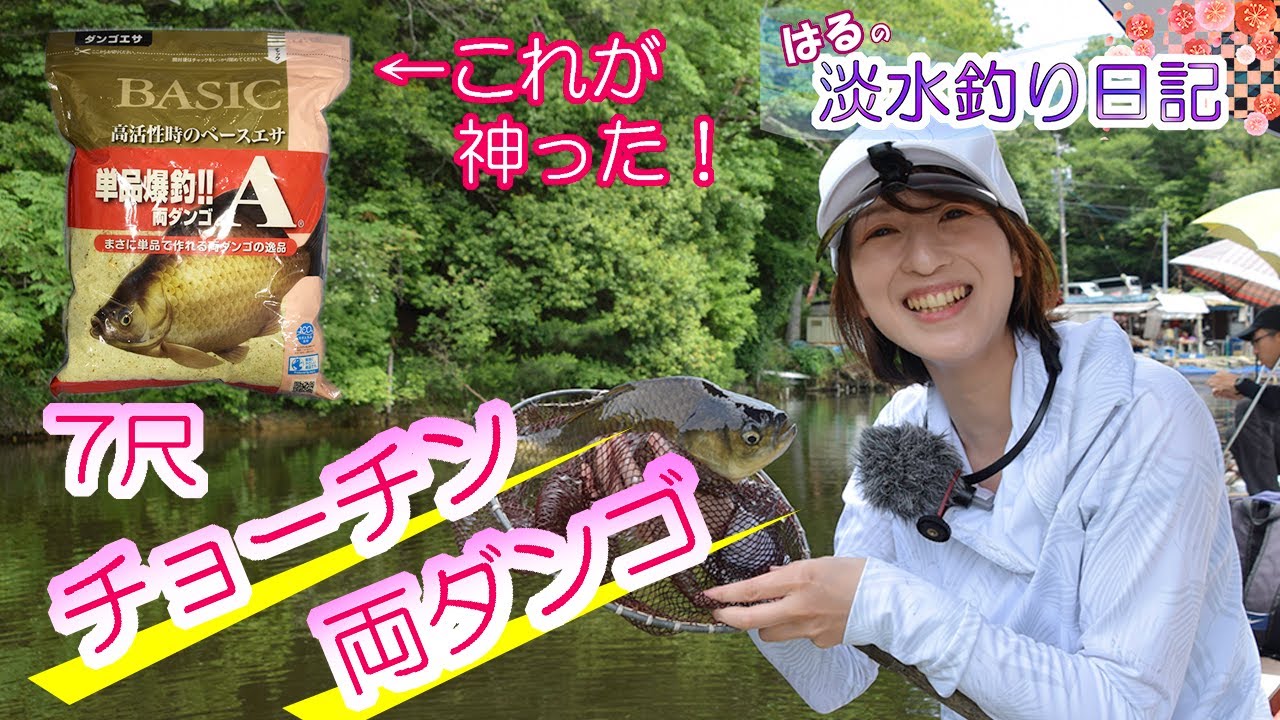 ひだ池で爆釣両ダンゴＡが好調！初心者でもヘラブナが釣れるためにはエサ管理が釣果の決め手！？◆はるの淡水釣り日記