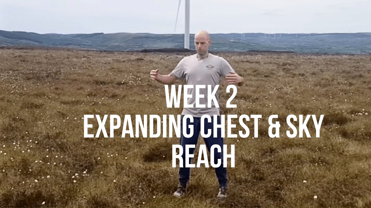 Qigong for Beginners | Lesson 2: Chest Opening & Sky Reach