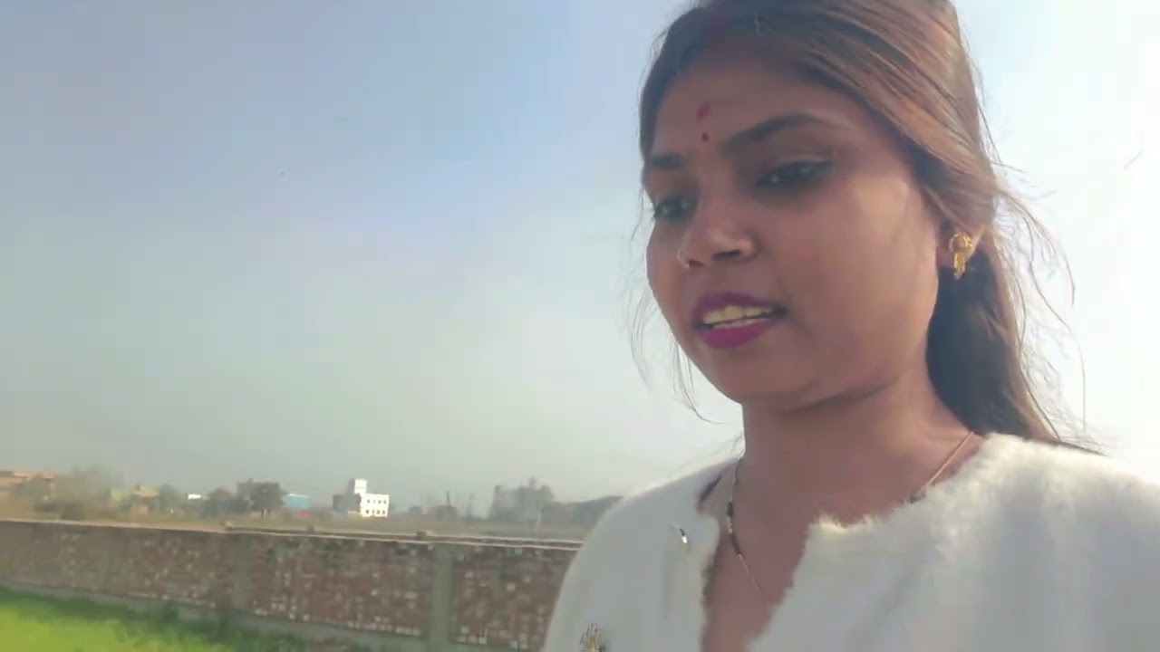  ये कबूतर के साथ क्या हो गया😱😭 #youtubevideo #darbhanga #video #long #kabootar 