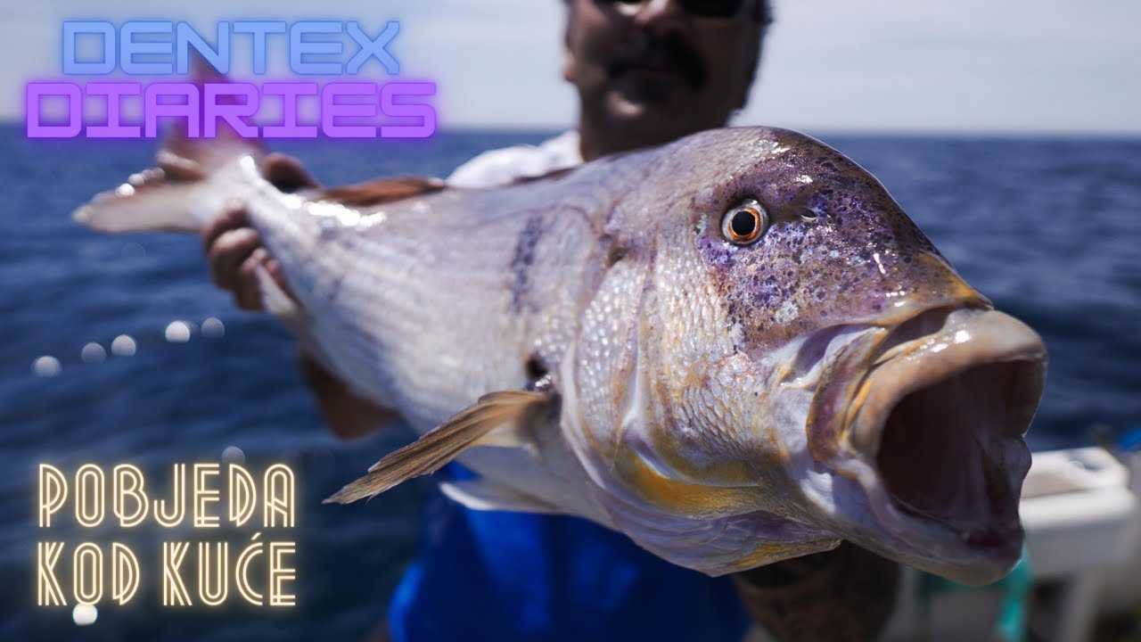 MENS SANA IN DENTIERA ISTRIANA 4K
