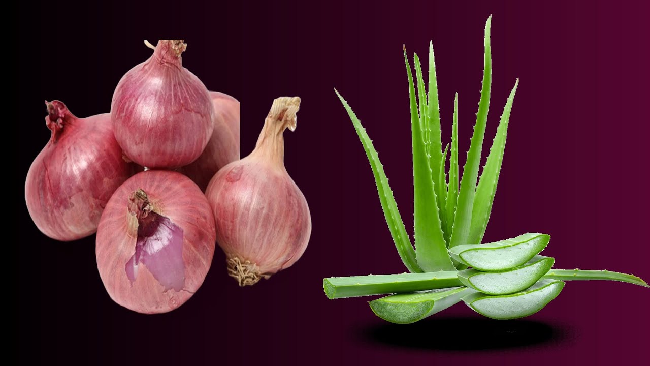 Aloe Vera Mix Onion , Vaseline and You Will Thank Me ~ Simple Recipe
