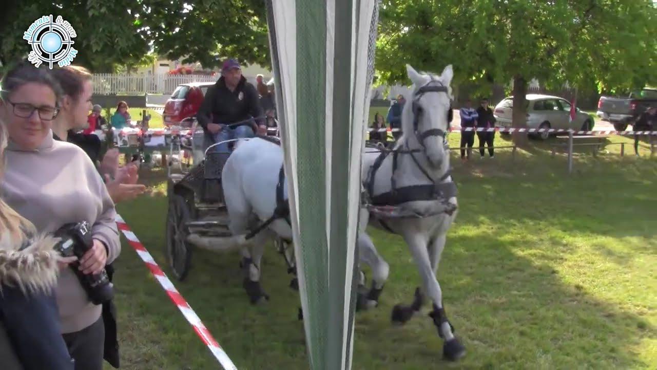 Karád díjátadás kombinált fogathajtás