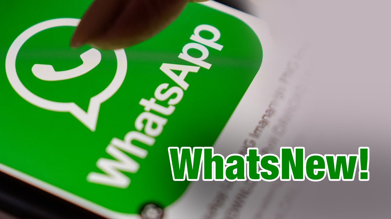 WhatsApp New Update | Access WhatsApp On 4 Devices Now | Business News Today | News9