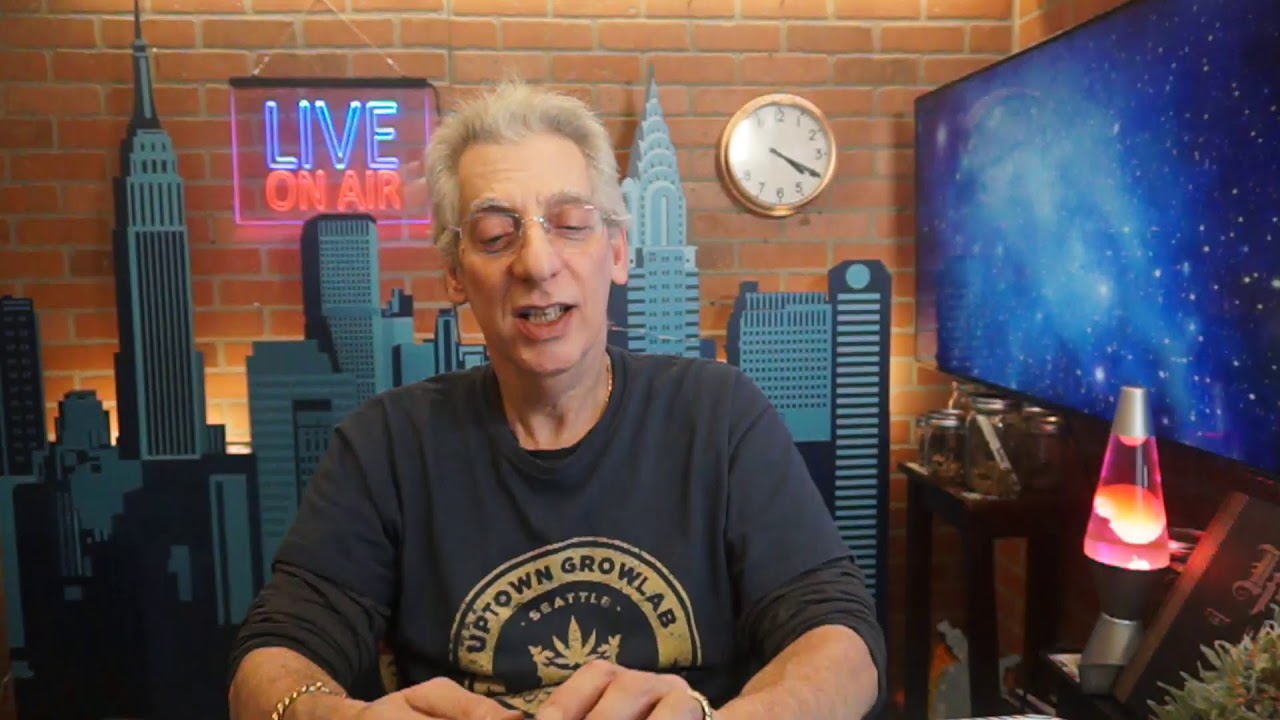 Humpday come on thru ! Uptowngrowlab, LIve Sesh on YouTube
