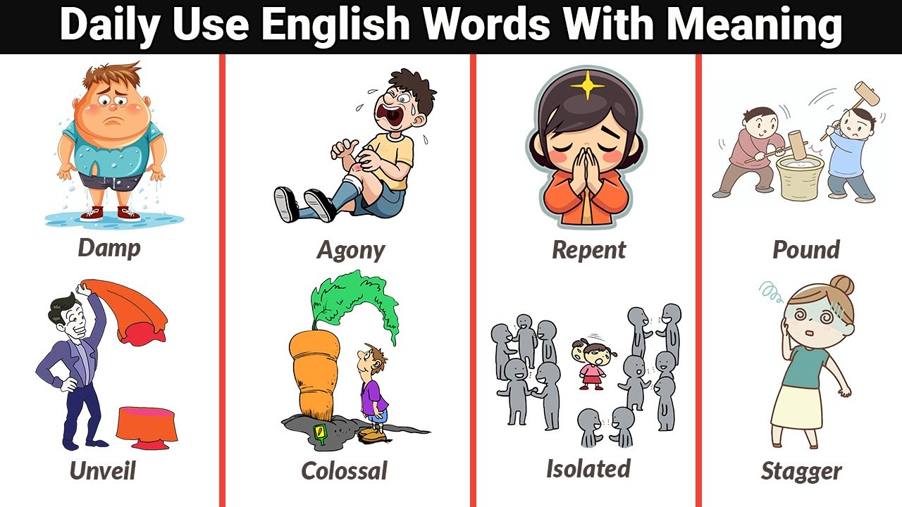 Daily Use English Words with Meaning and Examples | Vocabulary | Learn English Vocabulary