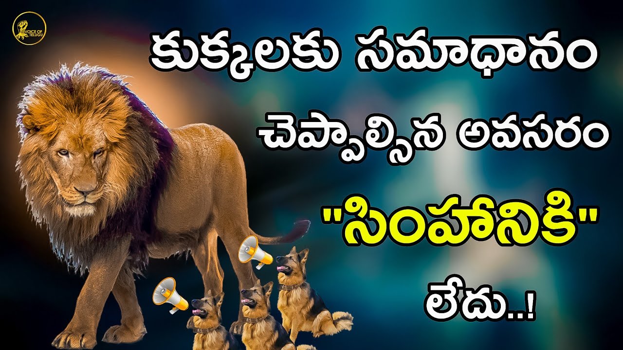 Million Dollar Words #91 | Don't Answer a fool | Voice Of Telugu