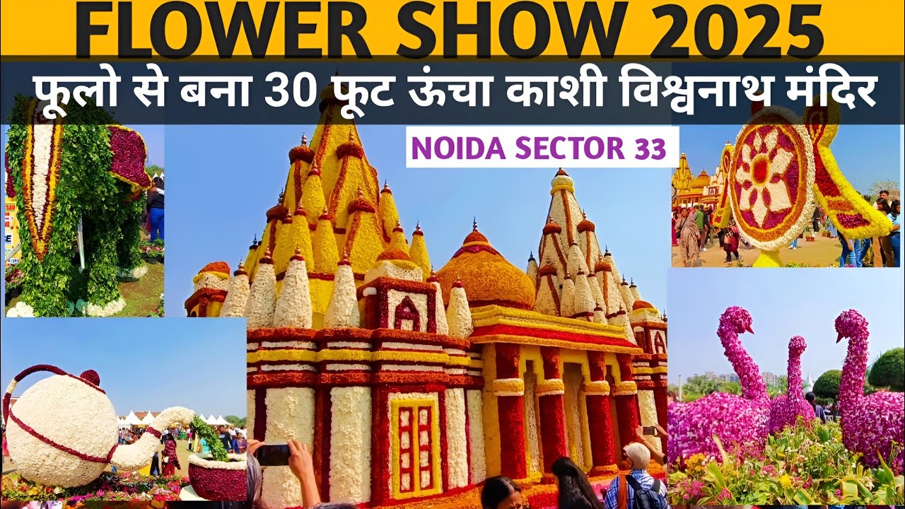 Noida Flower Show 2025/Vasant Utsav Noida/Flower Show Shivalik park Noida Haat