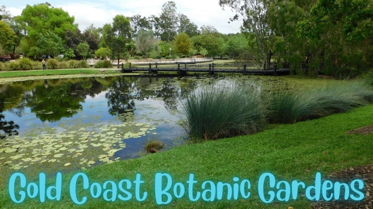 Gold Coast Botanic Gardens, Queensland