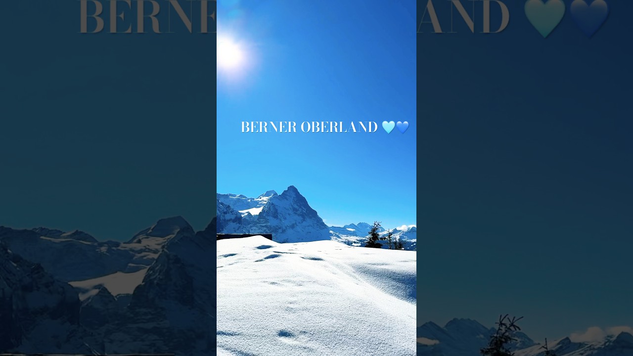 STUNNING 360&deg; PANORAMA: GROSSE SCHEIDEGG TO GRINDELWALD 🏔️✨ SWISS ALPS#switzerland#ambience#shotrs