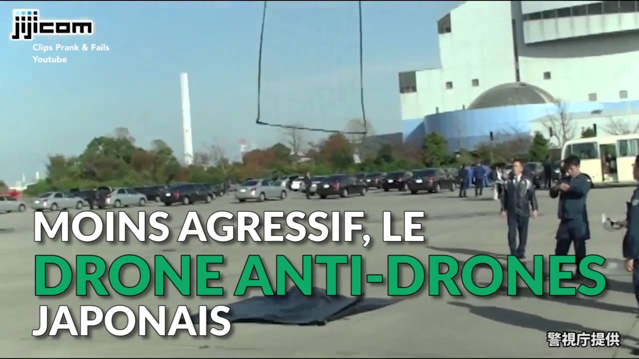 La nouvelle arme de l'arsenal anti-drones : un aigle